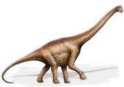 brachiosaurus.jpg (27207 bytes)