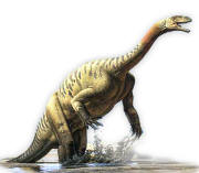 plateosaurus.jpg (33319 bytes)