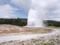 Geyser_Yellowstone_National_Park.jpg (68759 bytes)