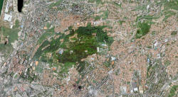AOB_grad.jpg (898432 bytes)