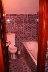 Toalet_u_apartmanu.jpg (116933 bytes)