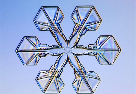 Photo: Sectored plate snowflake