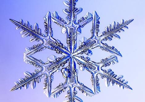 Photo: A dendrite snowflake
