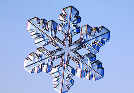 Photo: A dendrite snowflake crystal
