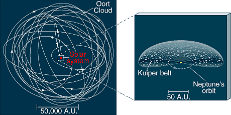 Sl. 16. Poloaj Ortovog oblaka (levo) i Kuiperovog pojasa (desno) u odnosu na orbite planeta