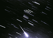 leoidi1.gif (6605 bytes)