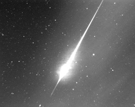 leonbol.jpg (17895 bytes)